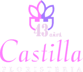 Floristería Castilla